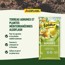 ALGOFLASH - Tierra de Cítricos y Plantas Mediterráneas 6 L