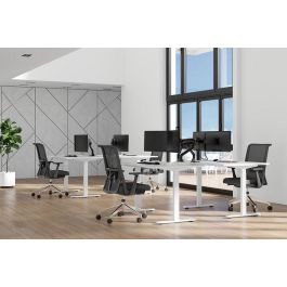 Neomounts Brazo para Monitor Full-Motion DS75S-950BL2 para Pantallas de 17-32", Soporta 8kg, Negro