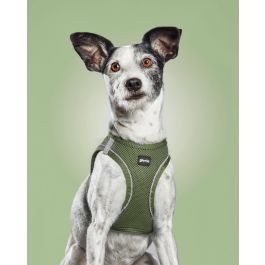 Arnés para Perro Gloria 28-28,6 cm Verde XXS 24-26 cm