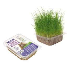Nayeco Hierba Natural Para Gatos - Ayuda a Eliminar Bolas de Pelo, 1 Unidad Precio: 3.99000041. SKU: B1B4B972CW