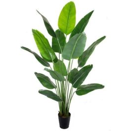 Planta Tropical DKD Home Decor Verde 100 x 210 x 100 cm (2 Unidades)