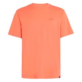 Camiseta de Manga Corta Hombre O'Neill Small Logo Naranja XL Precio: 31.1696. SKU: B1A6K9HE7X