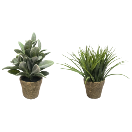 DKD Home Decor Plantas Decorativas Verdes Naturales 13x25x13 cm (6 Unidades Surtidas) PE Lino DKD Home Decor Plantas Decorativas Verdes Naturales 13x25x13 cm (6 Unidades Surtidas) PE Lino Precio: 46.49999992. SKU: B138D3EEMH