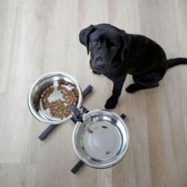 Kerbl Barra de comida elevada para perros con 2 cuencos de acero inoxidable de 2800 ml y base de PVC de 43 cm de altura