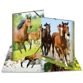 HERMA Carpeta de Colección A3 Caballos de Polipropileno Precio: 17.5000001. SKU: B15Y7S74JN