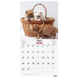 Calendari (2026) Catalan Finocam Paret Imatges Mensual Per Escriure 300X300 Gossos I Gats Precio: 8.98999992. SKU: B14FHZ7TSL