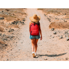 Antartik Mochila Basic Pack con Bolsillo para Portátil Roja 20 L 300x160x420 mm