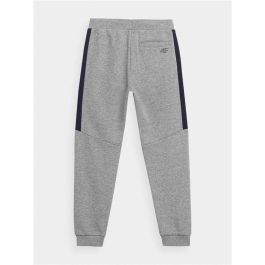 Pantalón Largo Deportivo 4F JSPMD002 Gris XS