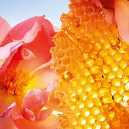 Guerlain La Petite Robe Noire Honey Rose edp vapo 50 ml Eau de Parfum Mujer