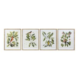 Cuadro Tropical DKD Home Decor Verde Beige 2.5 x 70 x 55 cm (4 Unidades) Precio: 156.78999952. SKU: S3013588