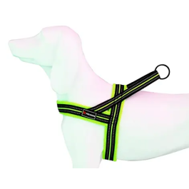 Freedog Arnés Soft-Sport Am Neon T-XS 15 mmx48-56 cm Precio: 9.68999944. SKU: B1K8JHL44J