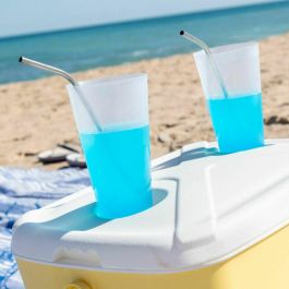 Nevera Portátil Rígida Lilty InnovaGoods 15 L