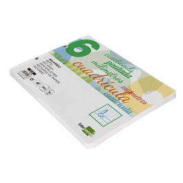 Recambio Liderpapel Cuarto Apaisado Pautaguia 100 Hojas 75 gr Cuadriculado Pautado 6 mm Con Margen 2 Taladros