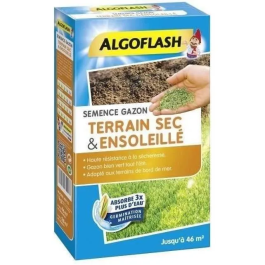 Algoflash Semillas de Hierba para Suelos Secos y Soleados - Calidad Profesional - 1 Kg