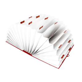 Liderpapel Carpeta Fuelle Folio Cartón Forrado Burdeos 20 Departamentos 220x350x300 mm