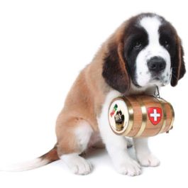 Pawz Maxwax Protector de Almohadillas para Perros 200 gr, Protege contra Asfalto Caliente, Nieve, Hielo y Químicos