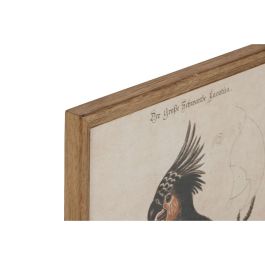DKD Home Decor Cuadro Tropical Ave Exótica Multicolor Beige 40x50 cm (4 Unidades) de Cristal y MDF DKD Home Decor Cuadro Tropical Ave Exótica Multicolor Beige 40x50 cm (4 Unidades) de Cristal y MDF