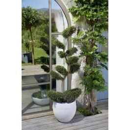 EDA Graphit maceta redonda Ø50cm - Capacidad 46L - Blanco encalado EDA Graphit maceta redonda Ø50cm - Capacidad 46L - Blanco encalado