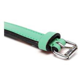 Collar Piel Acolchado 55 cm X25 mm Verde Collar Piel Acolchado 55 cm X25 mm Verde