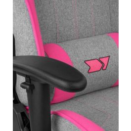Drift DR90 PRO Silla para videojuegos de PC, Asiento acolchado Gris y Rosa