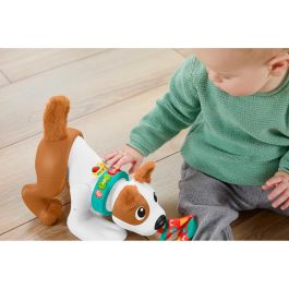 Fisher-Price Perrito Gatea Y Juega Conmigo HGY57 Juguete Interactivo para Bebés con Música y Luces, Edad +6 Meses