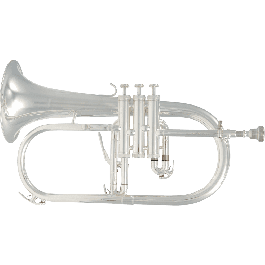 Fliscorno Bu600S