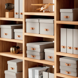 Leitz Caja de Almacenaje Pequeña de Cartón con Tapa, Asa Piel, Beige, 7L, A5, 83x232x302 mm, Set 2 Unidades