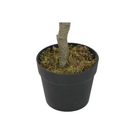 Planta Urban DKD Home Decor Verde Marron 50 x 120 x 50 cm (2 Unidades) Planta Urban DKD Home Decor Verde Marron 50 x 120 x 50 cm (2 Unidades)