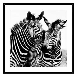 Cuadro Zebra Cristal (2 x 50 x 50 cm) Cuadro Zebra Cristal (2 x 50 x 50 cm)