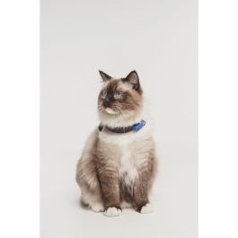 Tickless TIC5999566451614 Repelente Ultrasónico para Gatos, Protección contra Pulgas y Garrapatas, Azul Griego