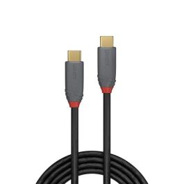 Lindy Cable USB 3.2 Gen 2x2 Tipo C a Tipo C 1m, 20Gbps, 100W Power Delivery (5A), Soporte DisplayPort 4K/60Hz, Línea Anthra