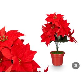 Flor Pascua 42Cm Krist+ (12 Unidades) Precio: 94.50000054. SKU: B1B967XXQP
