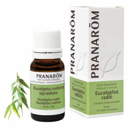 Pranarôm Aceite Esencial de Eucalipto Radiata 10 ml para Aromaterapia - Quimiotipo 1-8 Cineol y Alfa-Terpineol, el aliado natural de tu hogar.