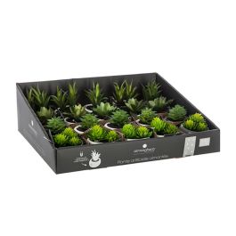 Mini plantas decorativas con iman modelos surtidos 6cm