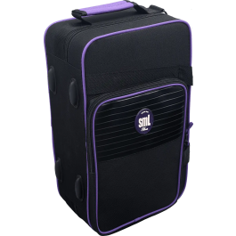 SML Corneta Sib Co50 SML Ancho 18cm Alto 27cm Largo 44cm Instrumento Musical de Viento Madera Laton Brillo