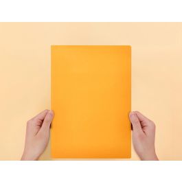 Subcarpeta Liderpapel Folio Naranja Intenso 180 gr-M2 50 unidades