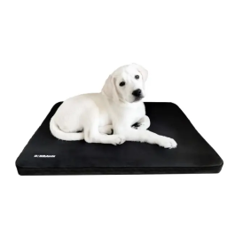 B. Braun Cama de Hospitalización S 39.5x29.5x3 cm 1 Ud Precio: 21.9964206. SKU: B1KND7W5SD