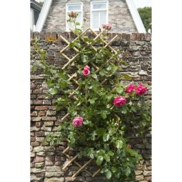 Nature Enrejado extensible de bambú natural Marrón 70x180cm. Celosía adaptable para facilitar el crecimiento de plantas trepadoras y decorar paredes.