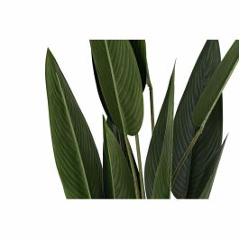 Planta Urban DKD Home Decor Verde 40 x 115 x 40 cm Planta Urban DKD Home Decor Verde 40 x 115 x 40 cm