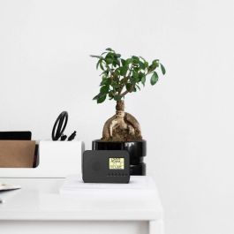 Evoom EVO3700527306148 Radio Reloj Despertador Inteligente LEKIO con Visualización de Fecha, Hora, Temperatura y Humedad - Negro