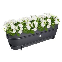 Balcón rectangular ELHO Vibia Campana Allin1 - Ø 70 - Plástico - 11 l - Antracita Balcón rectangular ELHO Vibia Campana Allin1 - Ø 70 - Plástico - 11 l - Antracita