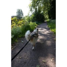 Correa de tracción para perros - INTENSIA - XL - 2,4 m - Perro +25 kg - Negro Correa de tracción para perros - INTENSIA - XL - 2,4 m - Perro +25 kg - Negro