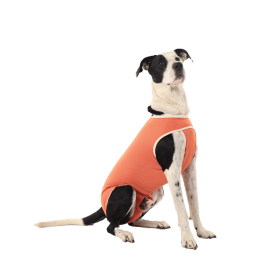 Luna & Milo Body De Cobre Castration Talla 14 para Perros Grandes 45-50 kg 69-74 cm 90-105 cm Precio: 42.9913. SKU: B179FWN5KS
