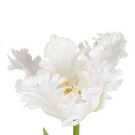 Flor Tulipán Blanco Tejido Decoración 63 cm