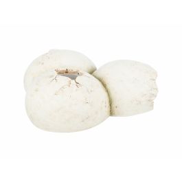 Cueva para reptiles Trixie Blanco Cueva para reptiles Trixie Blanco