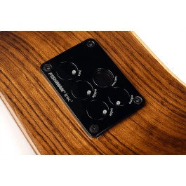 LAG Guitarra Acústica Auditorium Cutaway Tramontane 318 A/E - Natural con Electrónica Fishman Ink3