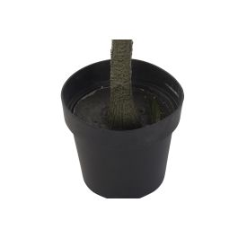 DKD Home Decor Árbol Neoclásico Verde 50 x 142 x 50 cm (2 Unidades) Poliéster, Polipropileno, Cemento