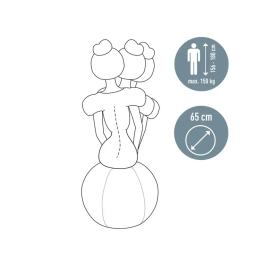 Silla De Balon Leitz Active Ergo Ø65Cm Antideslizante Gris