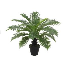 Planta DKD Home Decor Verde 80 x 60 x 80 cm Precio: 37.50000056. SKU: B1ABSMMPQY