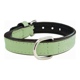 Collar Piel Acolchado 30 cm X 15 mm Verde Precio: 7.49999987. SKU: S6102418